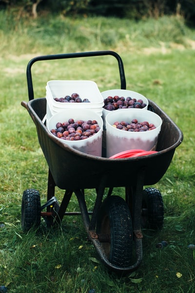 黑色独轮车上桶里的一堆水果
